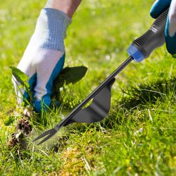 GTPW72-017 GREEN APPLE Корнеудалитель с молибд.покрытием | GREEN APPLE