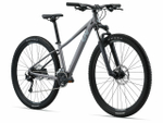Женский велосипед Giant Tempt 2 29 (2022)