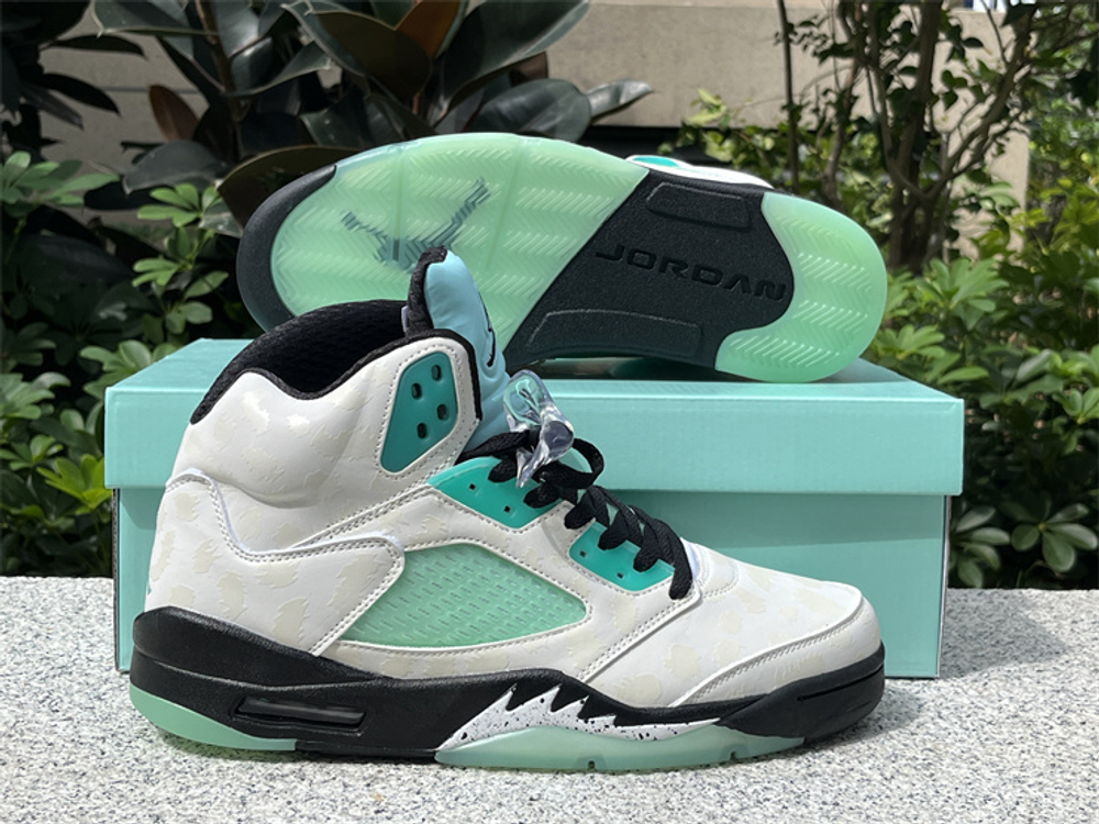 Air Jordan 5 CN2932-100