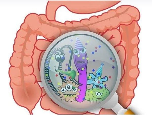 Как восстановить микрофлору кишечника?