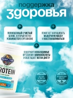 RAW Organic Растительный протеин без вкуса 560 г