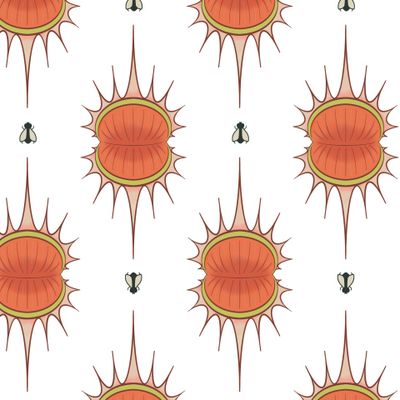 Мухи и Венерина мухоловка