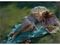 Art Puzzle Öğlen Keyfi 1000 Parça