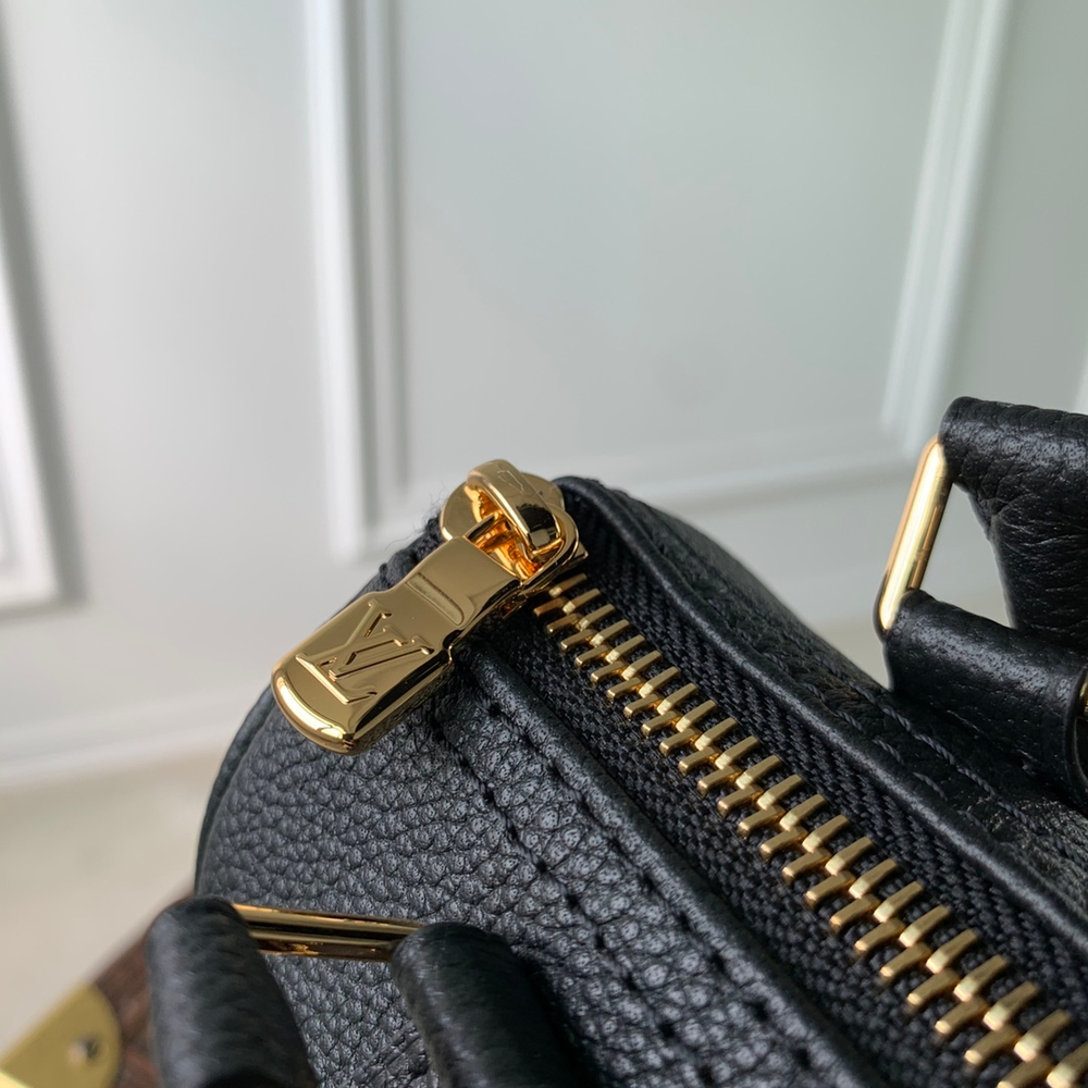 Louis Vuitton Nano Speedy