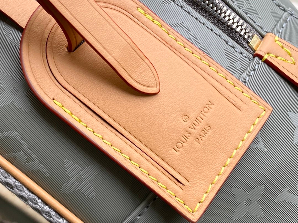 Louis Vuitton Backpack Titanium
