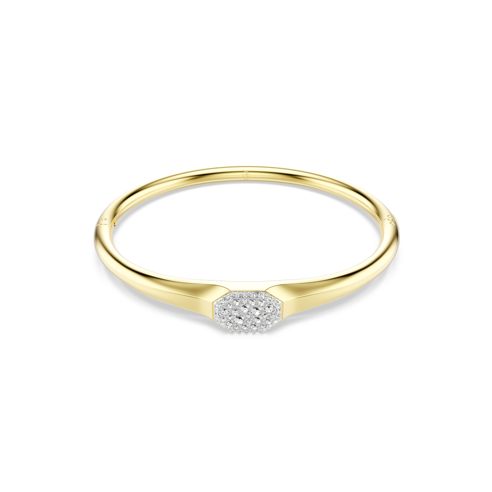 DEXTERA:BANGLE TAG CRE/GOS L