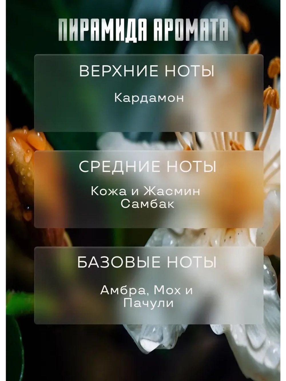 Отдушка для свечей парфюмерная Ombre Leather мыла