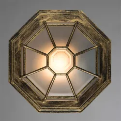 Уличный потолочный светильник Arte Lamp