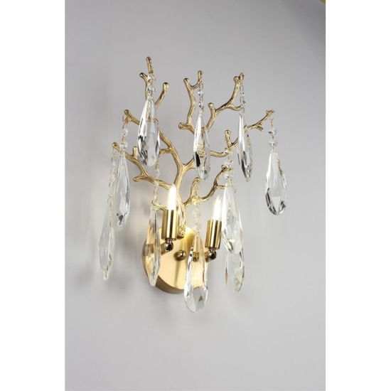 Светильник настенный (Бра) OML-52901-02