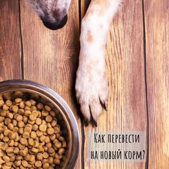 Перевод на новый корм
