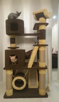 Комплекс для кошек Д-204