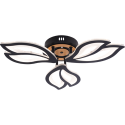 Светильник потолочный светодиодный Rivoli   6195-703 LED 3000-6250К 60 Вт с пультом