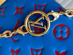 Louis Vuitton Pochette Coussin
