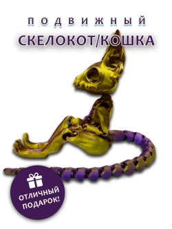 Скелет Кошки