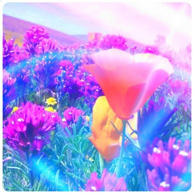 Распродажа Масел💖