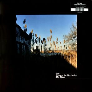 The Cinematic Orchestra / Ma Fleur (Clear Vinyl)(2LP)