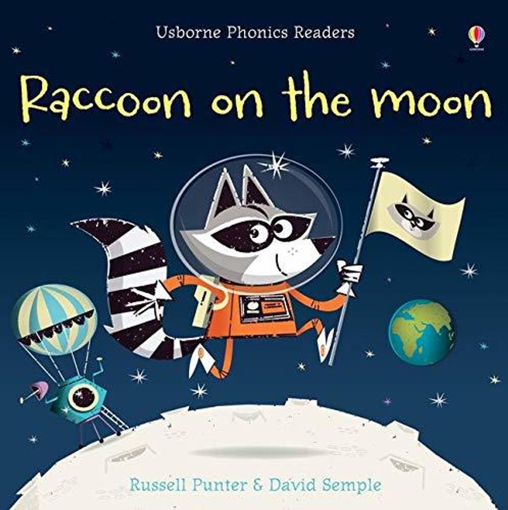 Raccoon on the Moon