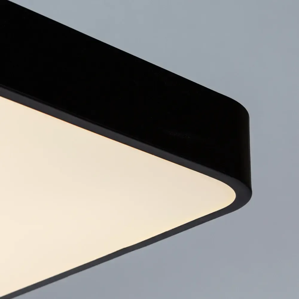 Потолочный светильник Arte Lamp