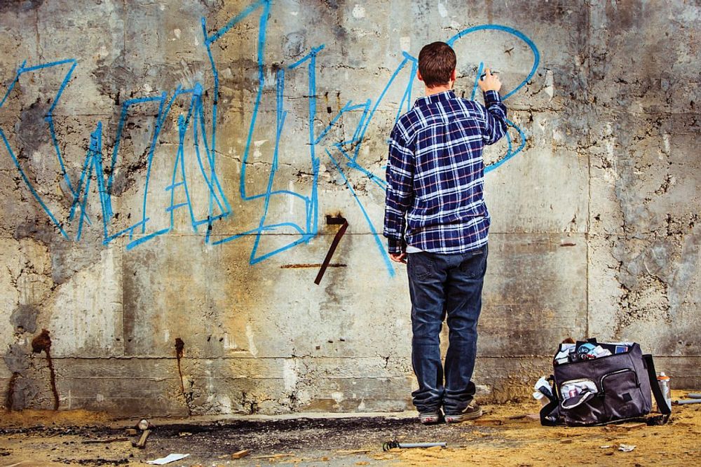 National Geographic NG W2400 Walkabout