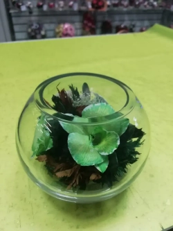 натуральные орхидеи в стекле, вакуум