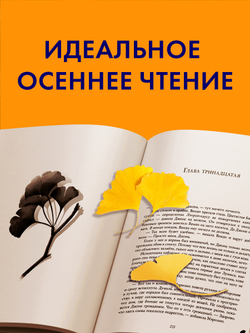 Наши лучшие дни