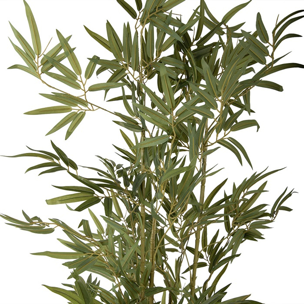 Бамбук в кашпо 35x35x160 см