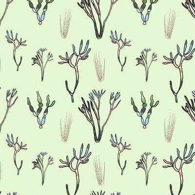 Кораллы и водоросли