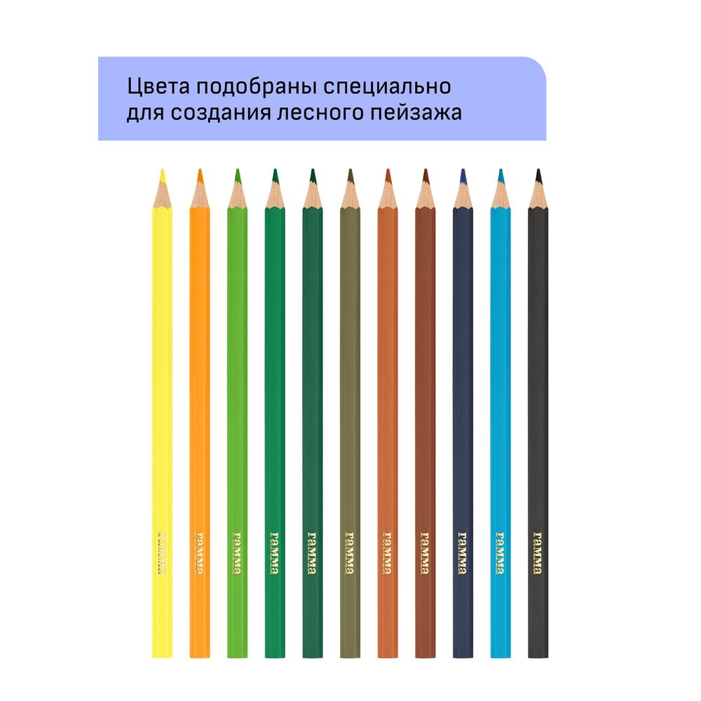 Карандаши цветные 12цв. Гамма Хобби. Лесной пейзаж