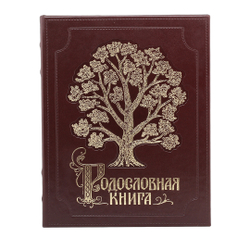 Родословная книга Изысканная(Эко. кожа) в картонной коробке