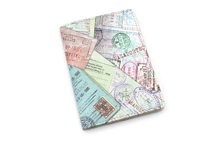 Обложка Passport Wallet Tyvek