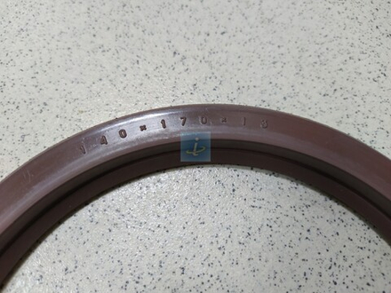 Манжета задняя коленчатого вала 1,1-140х170х13 фторкаучук 236-1005160-А6