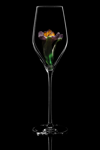 Бокал для шампанского Флюте. / Орхидея Ванда.
