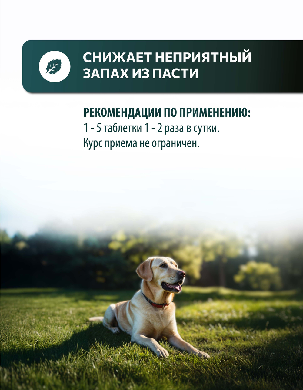 Vita+ мультивитаминное лакомство для собак Свежее дыхание, 90 таблеток
