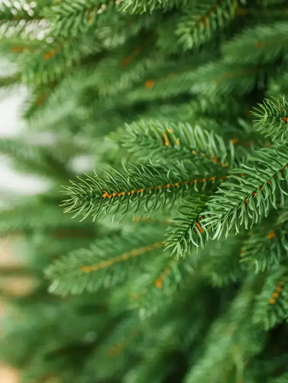 Ель искусственная «Милано» (литая хвоя) 240 см / 2,4 м