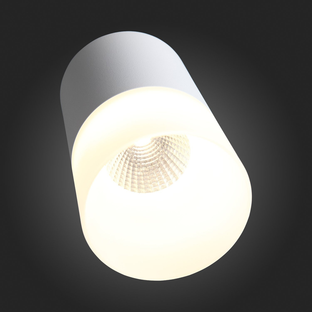 ST100.502.15 Светильник потолочный Белый LED 1*15W 3000K 1 170Lm Ra&gt;80 120° D118xH150 170-240V Накладные светильники