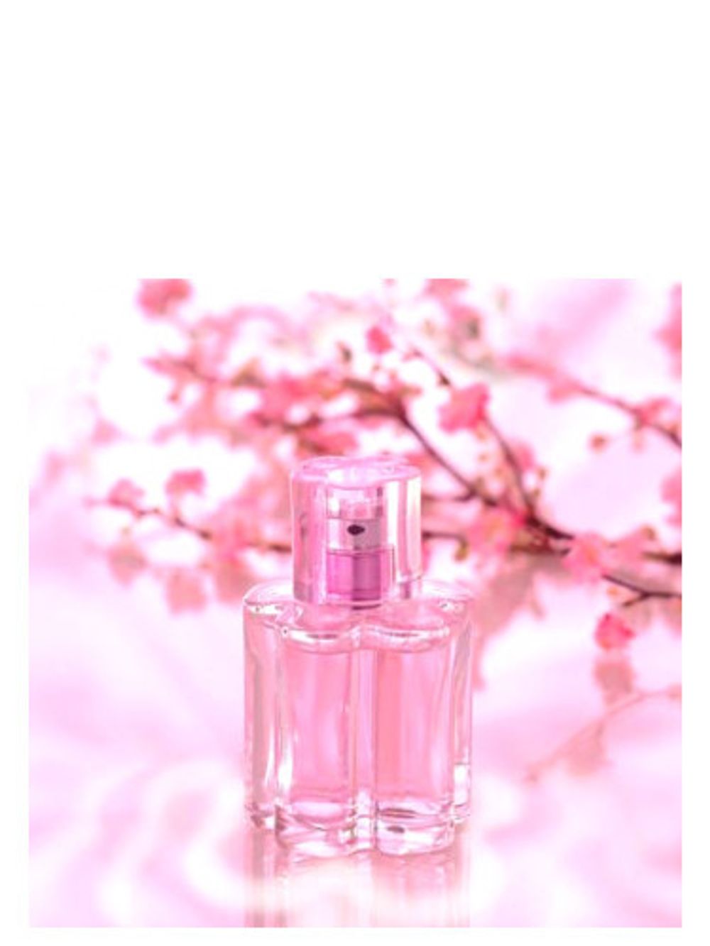 Yves de Sistelle Secret Flowers Rose