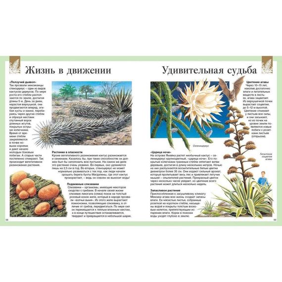 Детская энциклопедия. 250 чудес света