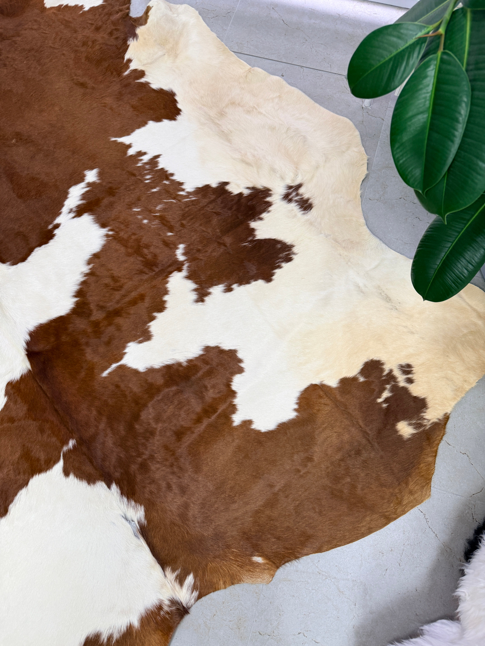 Коровья шкура на пол натуральная. 200 х 190 см