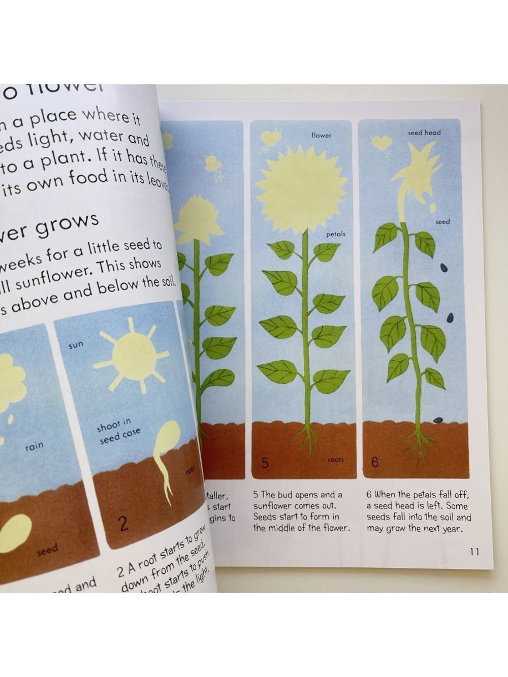 My First Book About How Things Grow.