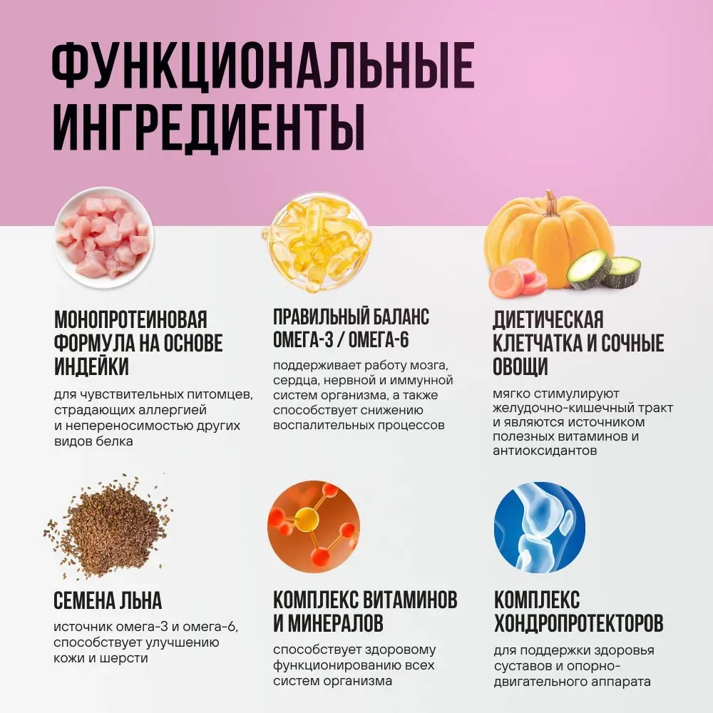 Консервы BOWL WOW для взрослых собак всех пород с индейкой и тыквой