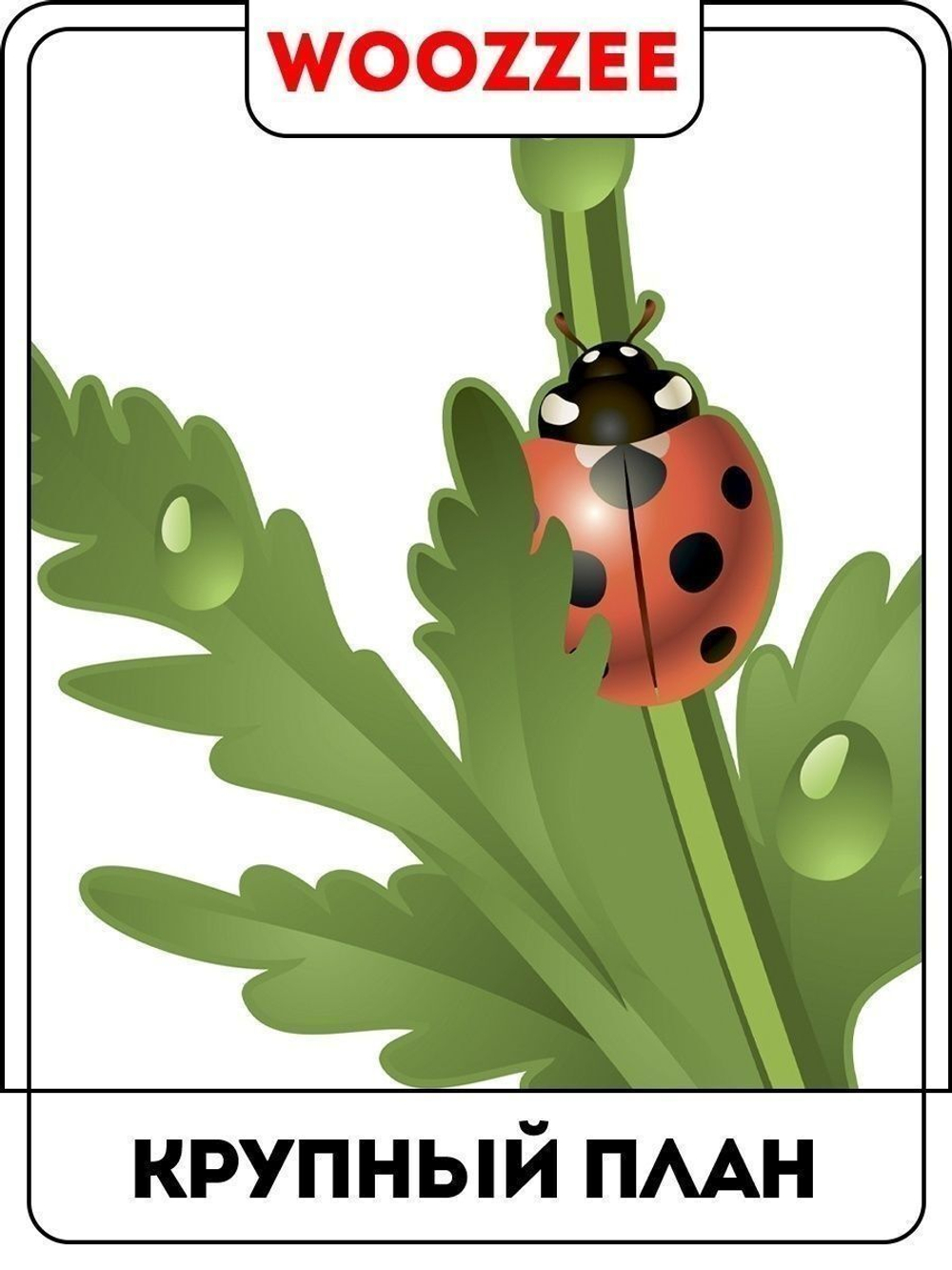 Наклейка декоративная  "Маковый букет"