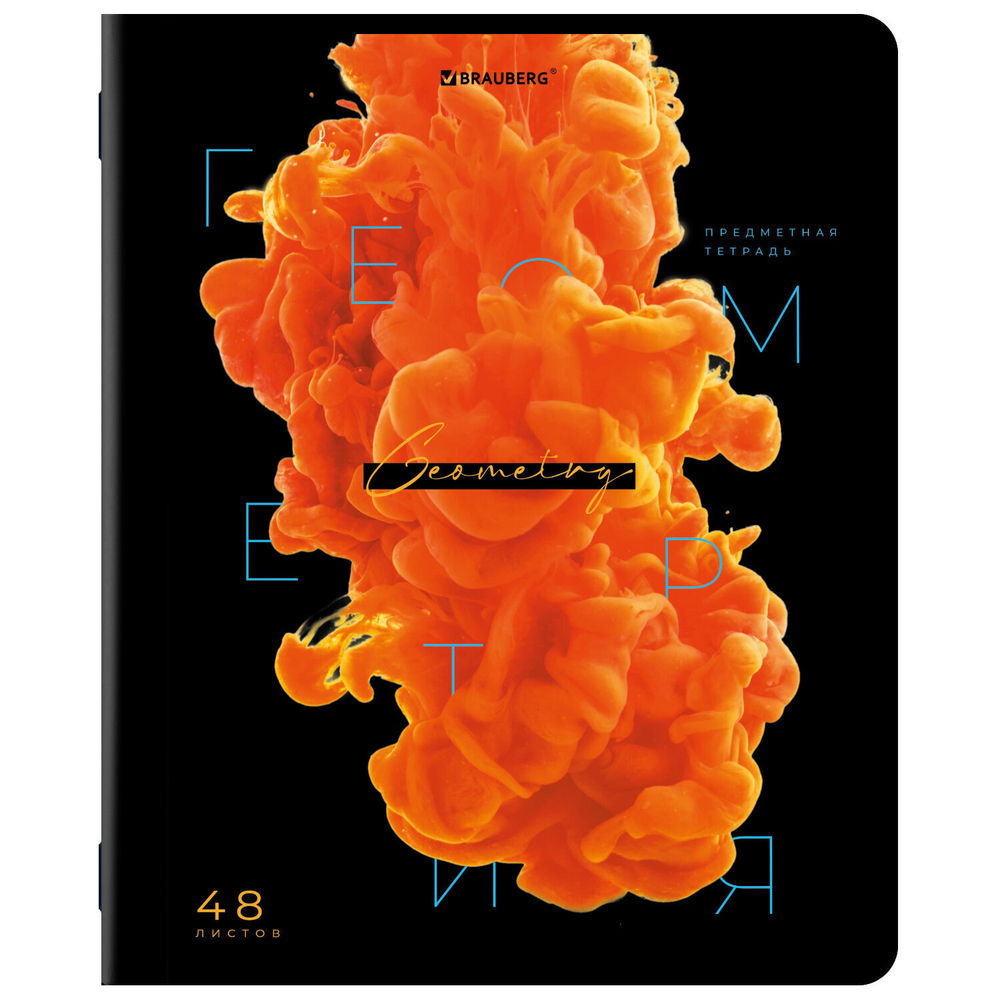 Тетради предметные комплект 12 ПРЕДМЕТОВ 48 л. глянцевый УФ-лак BRAUBERG "PIGMENT" (2 штуки в упаковке)