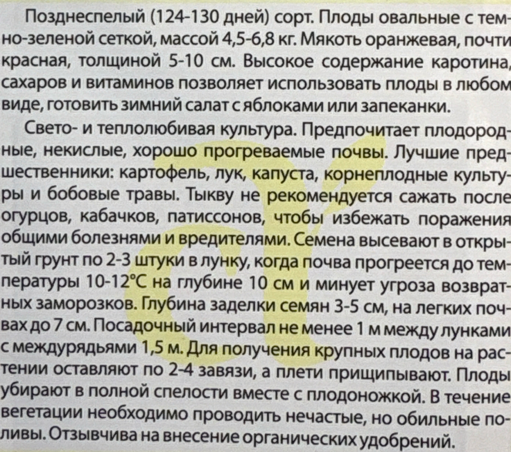 Тыква Витаминная мускатная 2 г СМТК-06