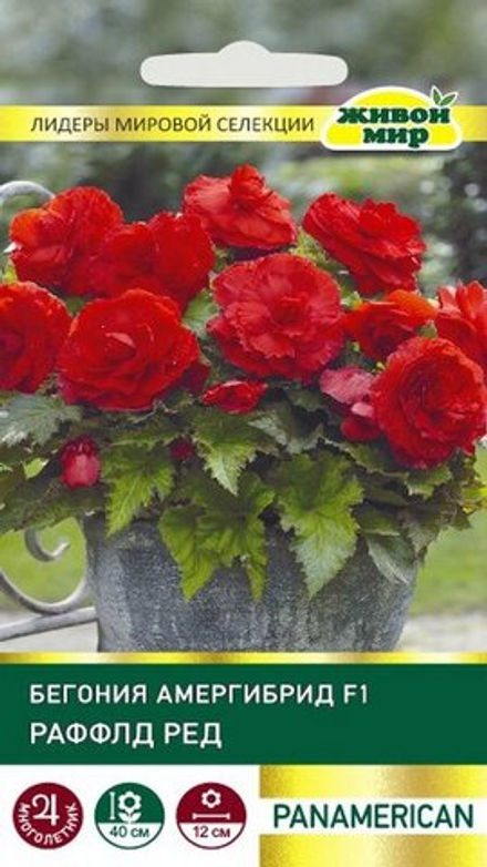 Бeгoния "ЖМ. Aмepгибpид Рaффлд F1 Рeд" 5шт, США.