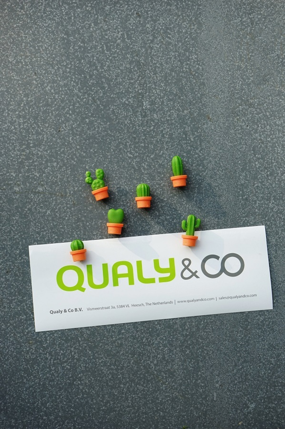 Набор магнитов cactus, 6 шт.