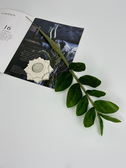 Замиокулькас 46 см 10 листьев / Арт 6000