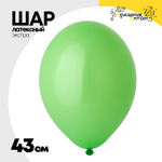 Шар латексный Экстра Пастель 43 см (Зеленый)