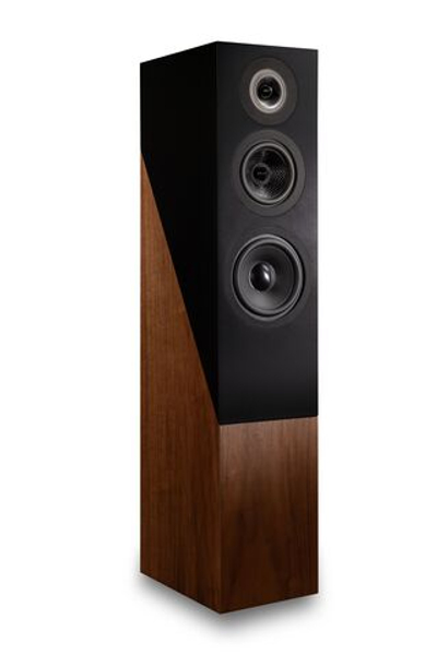 Напольная акустика Davis Acoustics The Pledge