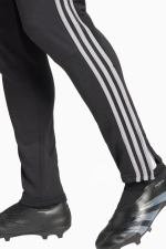Штаны adidas Tiro 24 Winterized - черный