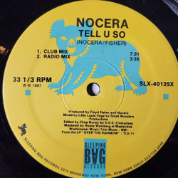 Винтажная виниловая пластинка LP Nocera Tell U So (USA 1987) Maxi Single